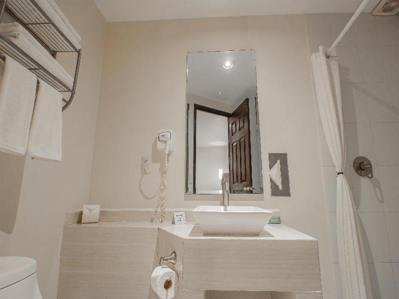 Best Western Real Tula Express image