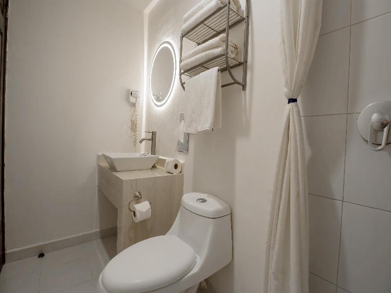Best Western Real Tula Express image