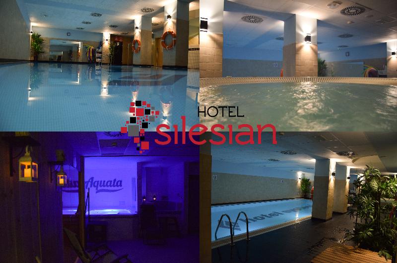 Economy Silesian Hotel