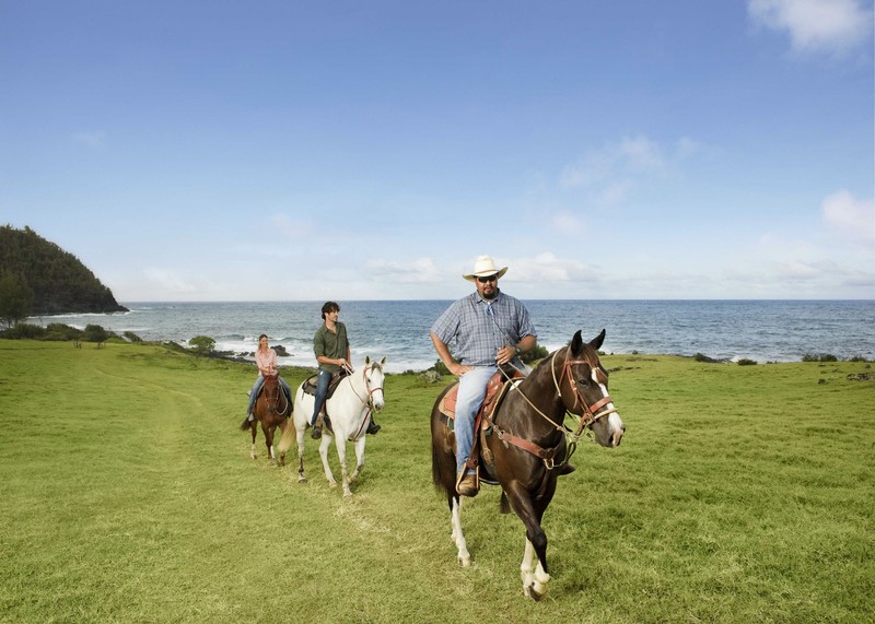 Hana-Maui Resort, a Destination by Hyatt Residence