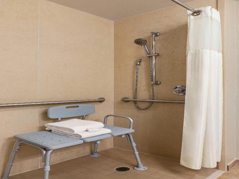 Embassy Suites by Hilton Orlando LBV South image