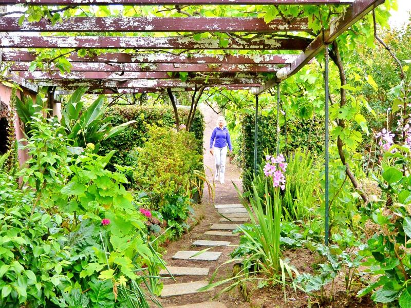 Quinta Nossa Senhora Lourdes image