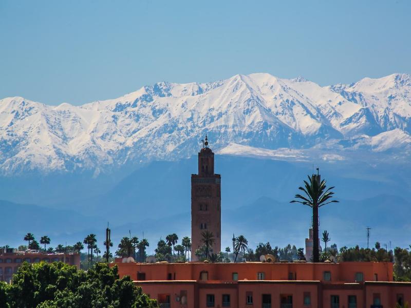 Riad Laila image