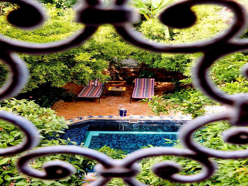 Riad Laila image