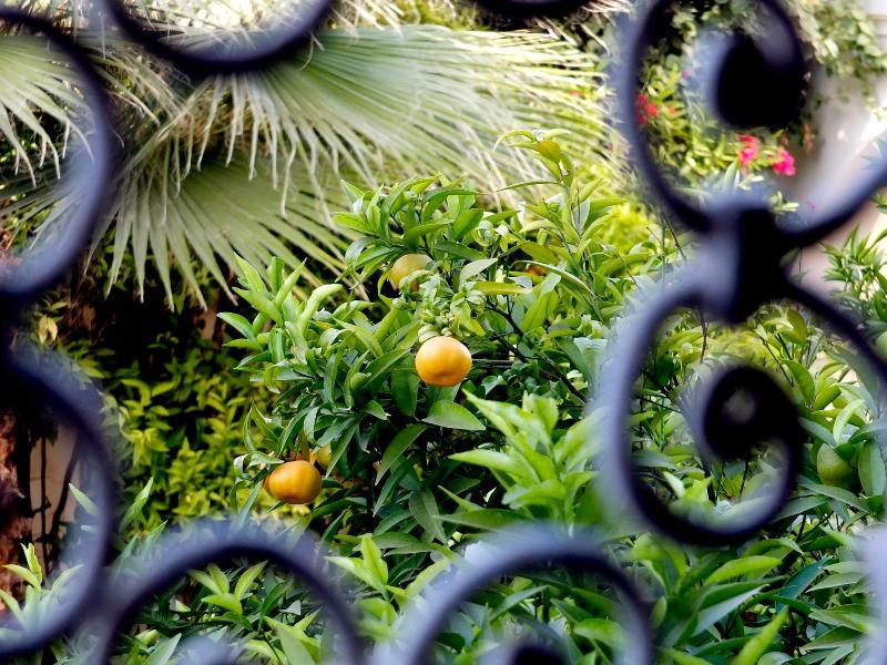 Riad Laila image