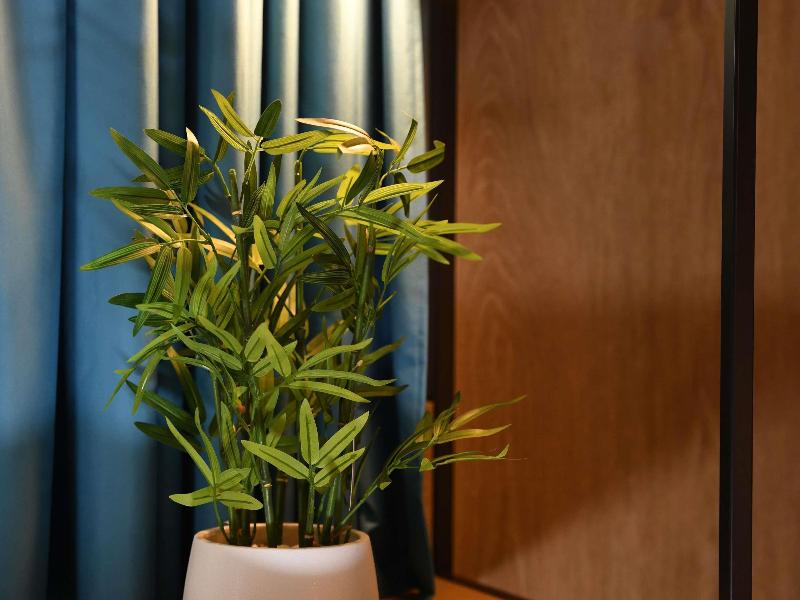 Ibis Chateauroux image
