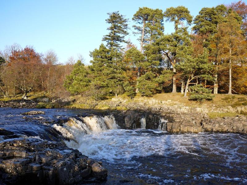 The Teesdale Hotel image
