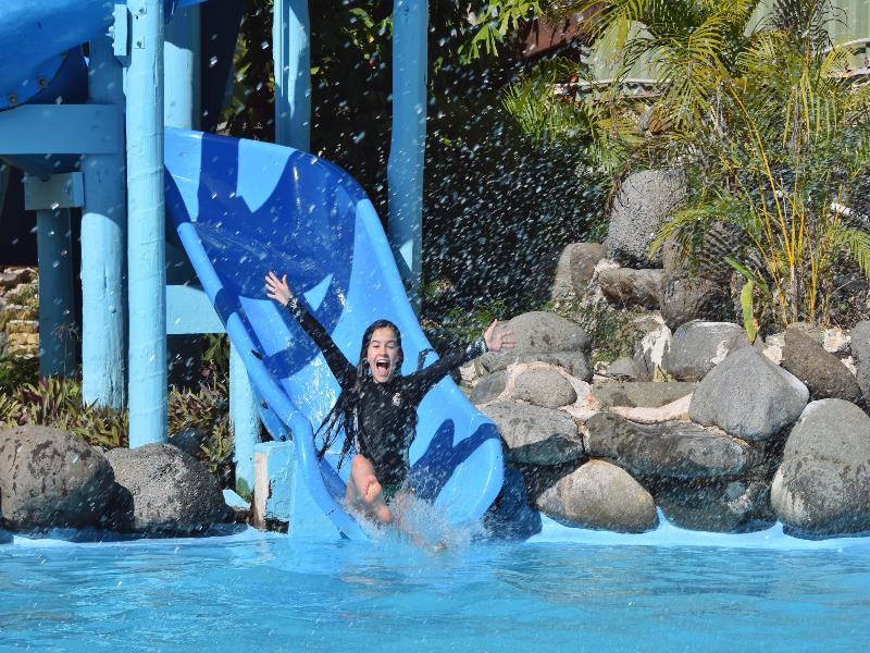 Plantation Island Resort image