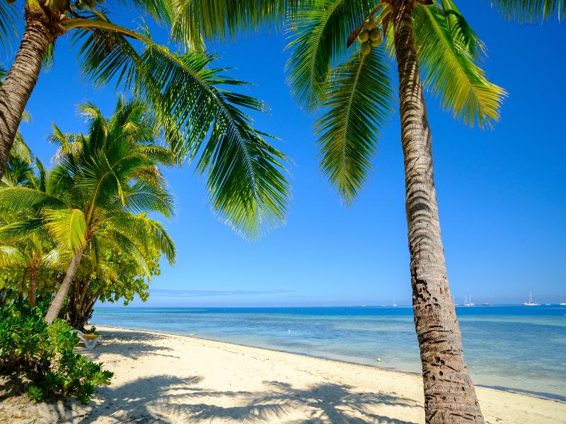 Plantation Island Resort image