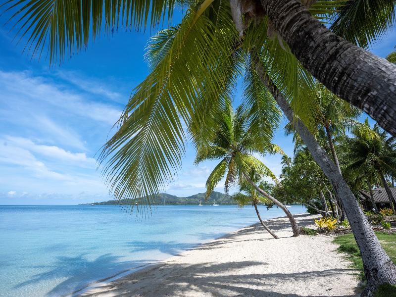 Plantation Island Resort image