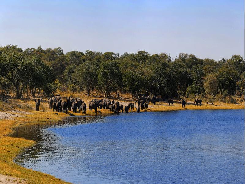 Namushasha River Lodge