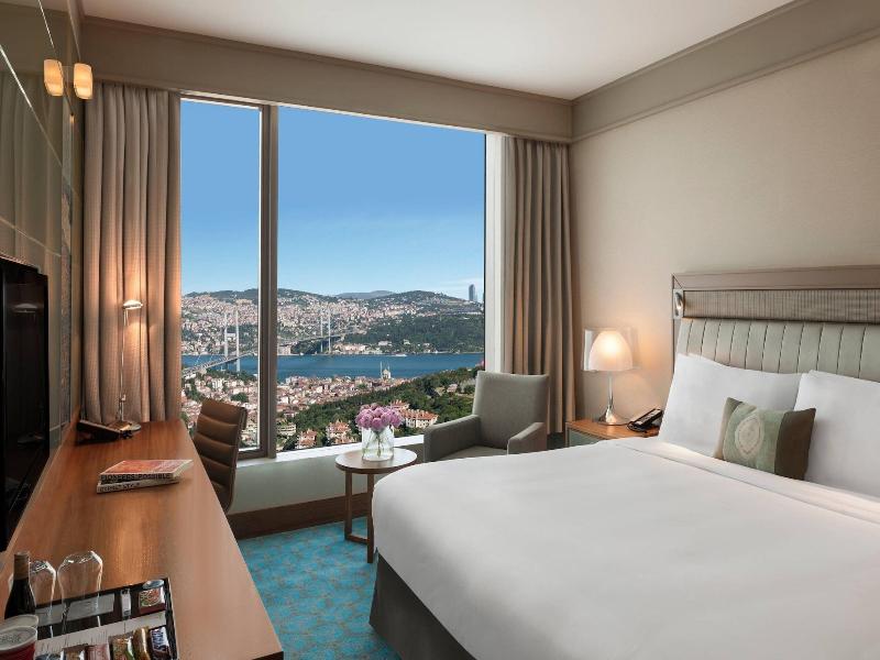 Renaissance Istanbul Bosphorus image