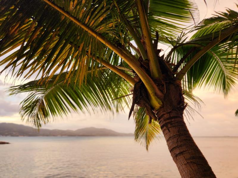Cerf Island Resort image