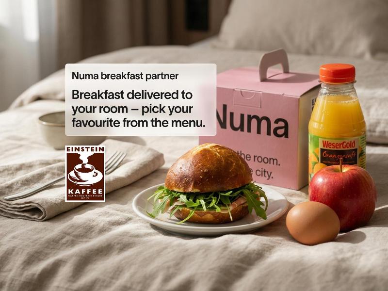 numa SKETCH image