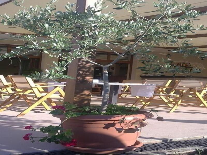 The Muses Hotel