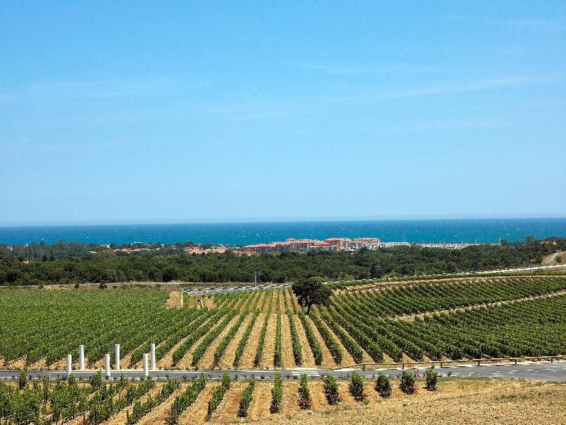 Résidence appart-hôtel Argelès-sur-Mer image
