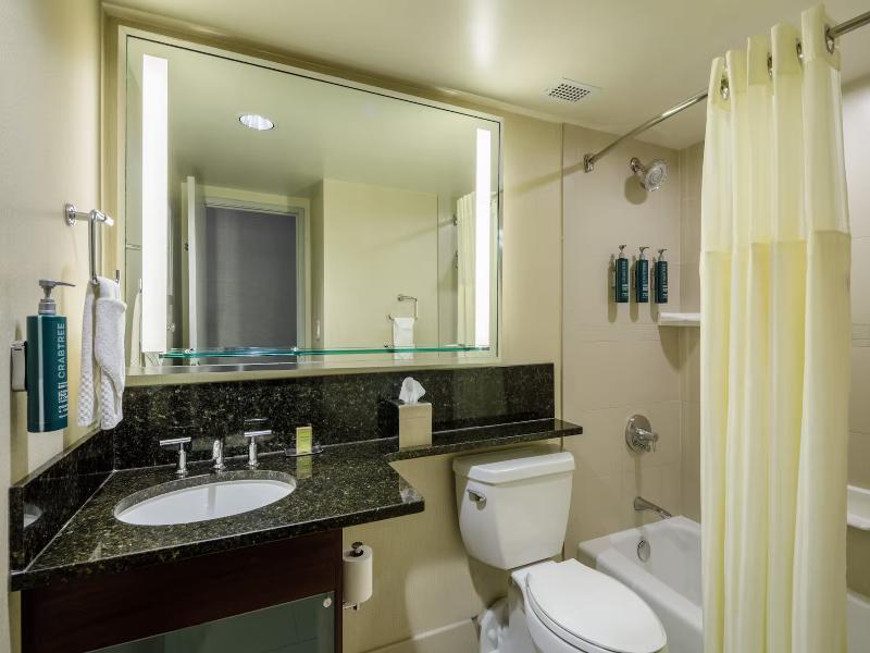 DoubleTree by Hilton Hotel Denver image