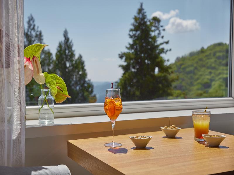 Kurhaus Cademario - Adults only image