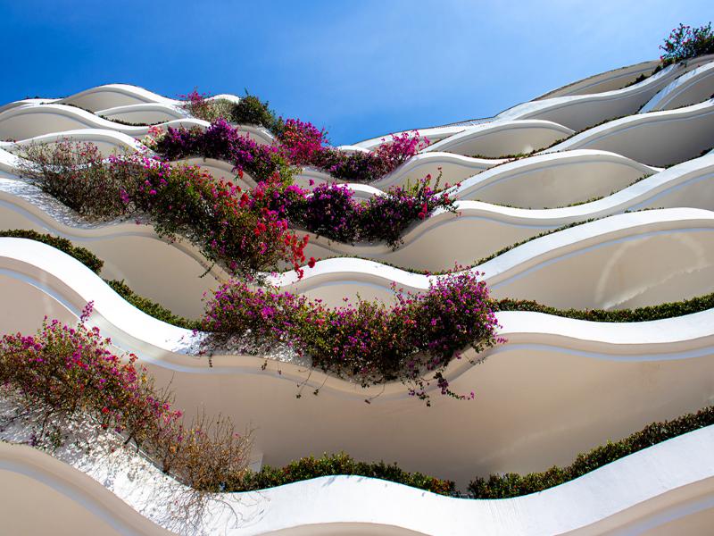 Grand Miramar All Luxury Suites & Residences image
