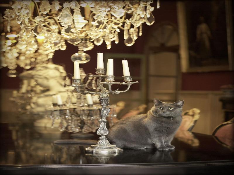 Jardins Secrets image
