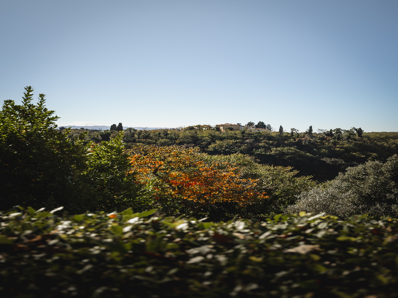 Borgo Di Colleoli Resort image