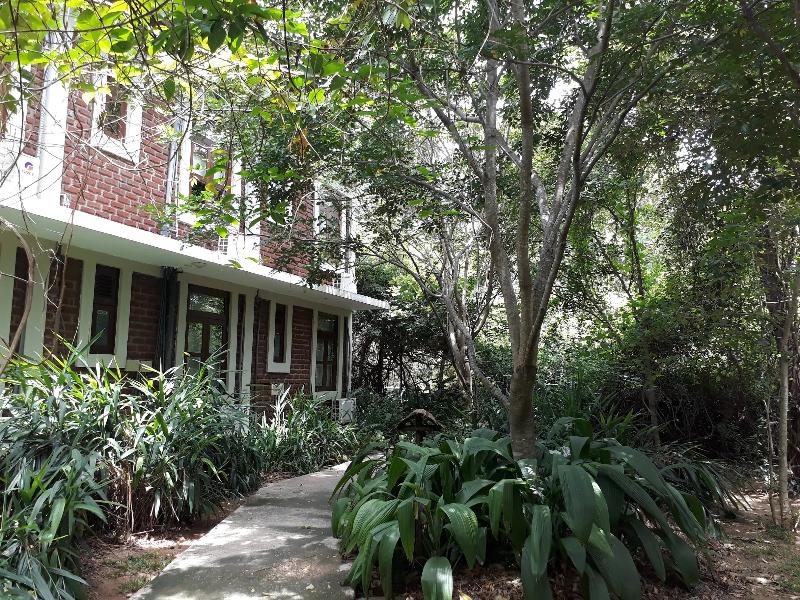 Camellia Resort and Spa image