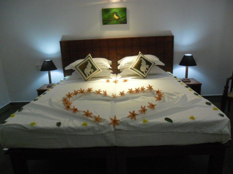 Camellia Resort and Spa image