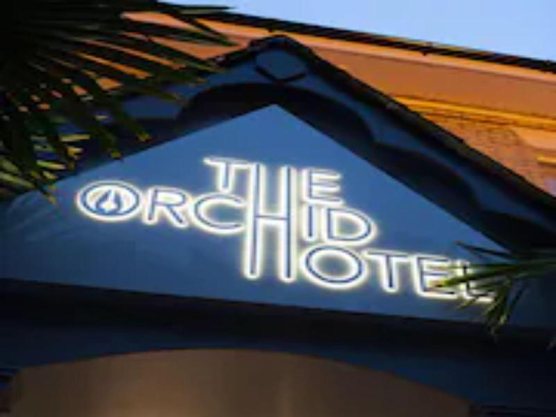 Orchid Hotel image