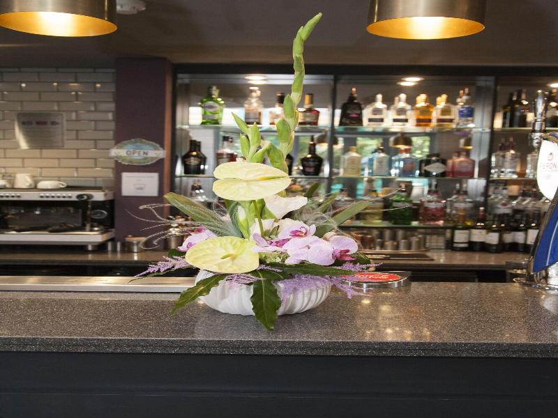 Orchid Hotel image