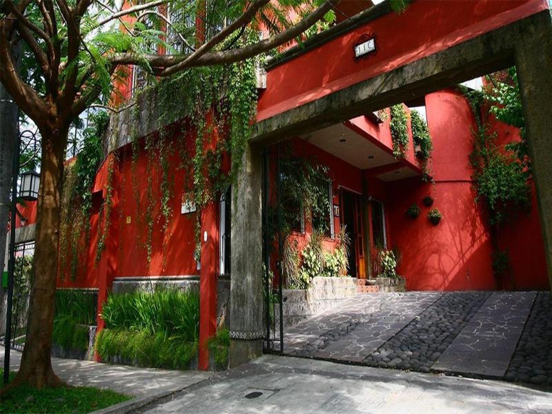 Ecohotel Arbol De Fuego image