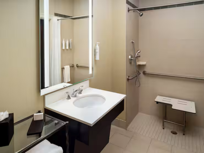 Embassy Suites by Hilton St. Louis Downtown image
