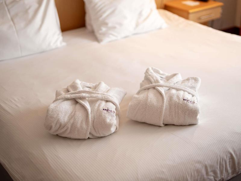 Hotel Mercure Cieszyn image