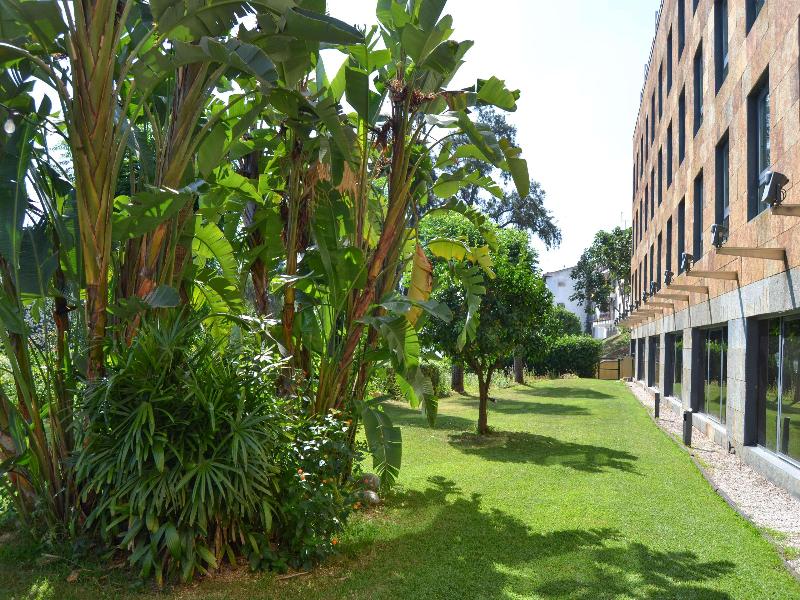 Ribera de Triana Hotel image