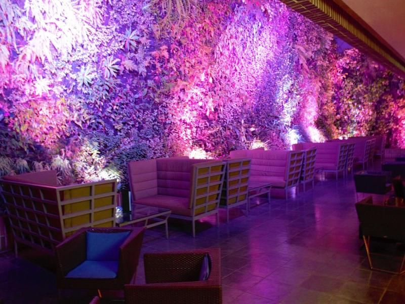 Renaissance Caracas La Castellana Hotel image
