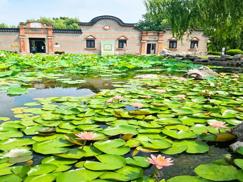 Sheraton Shanghai Waigaoqiao Hotel image