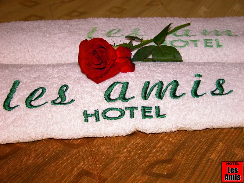 Airport Hotel Les Amis 2 *
