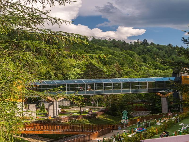 Czarny Potok Resort & Spa image