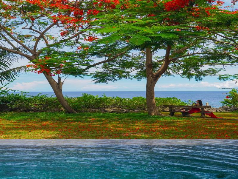 Amorita Resort image