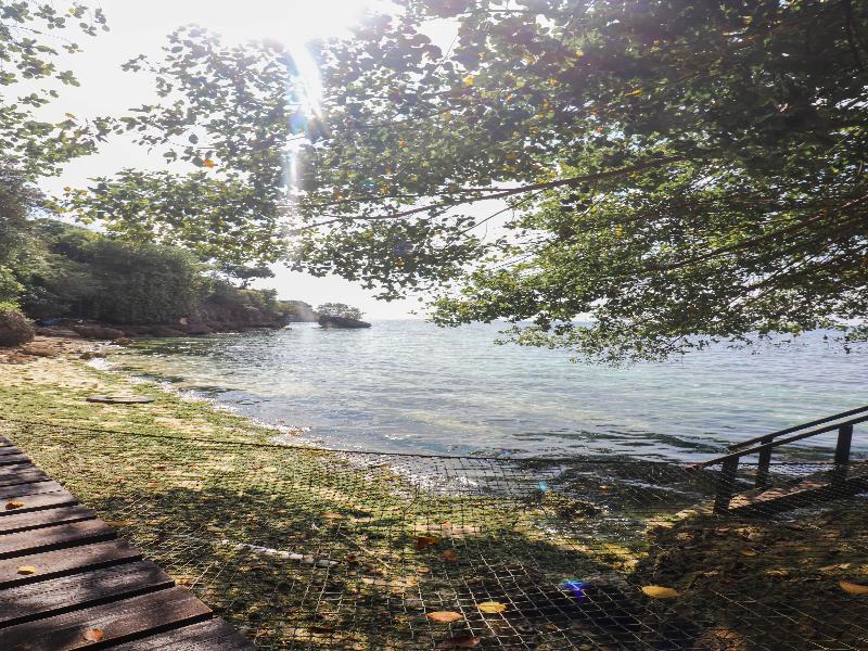 Amorita Resort image