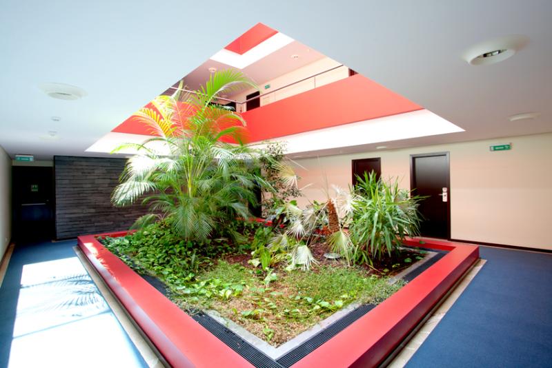 São Pedro image