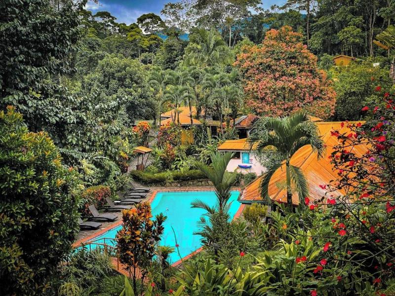 Finca Luna Nueva Lodge image