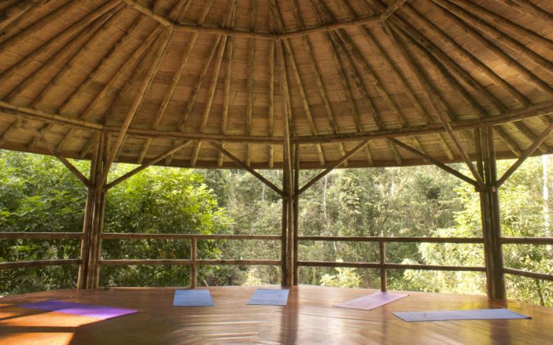 Finca Luna Nueva Lodge image