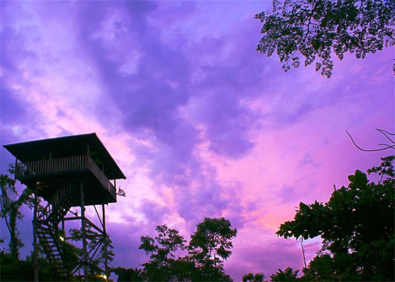Finca Luna Nueva Lodge image