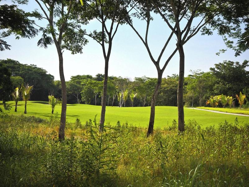 Autograph Collection The Buenaventura Golf & Beach image