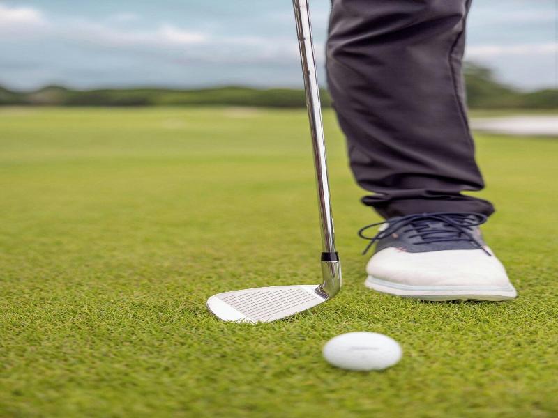 Autograph Collection The Buenaventura Golf & Beach image