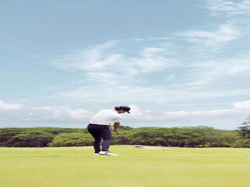 Autograph Collection The Buenaventura Golf & Beach image