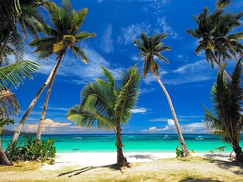Levantin Boracay Resort image