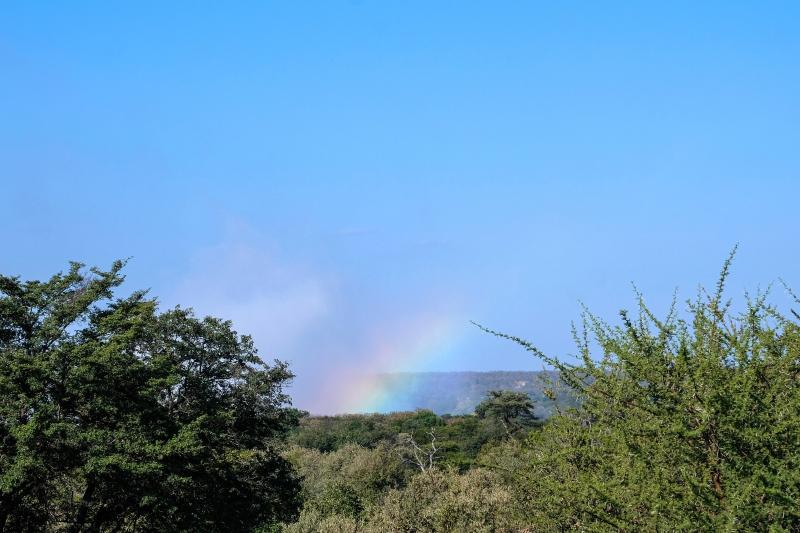 Ilala Lodge image