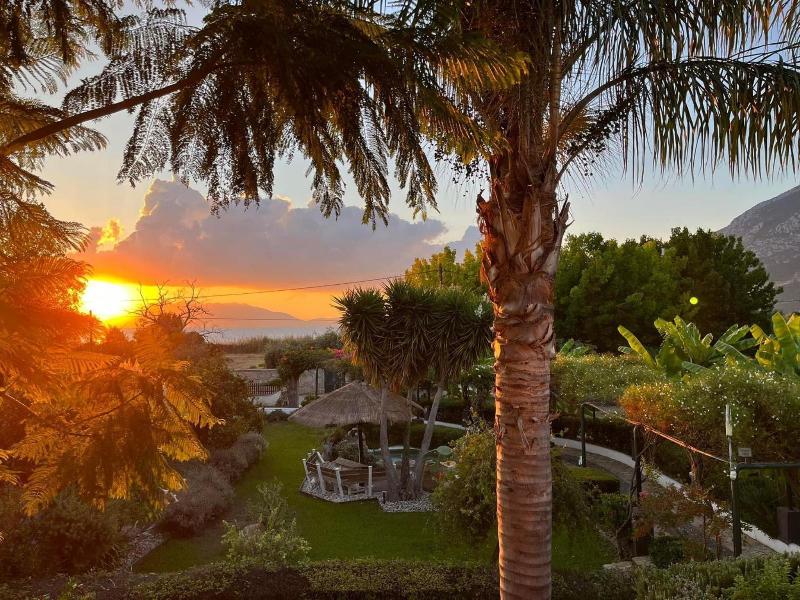 Sunny Garden image