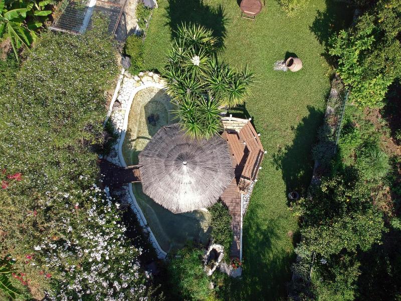 Sunny Garden image
